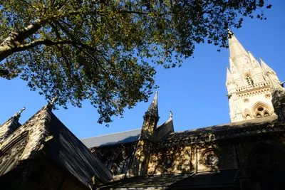 DSC_0449 (Large).JPG